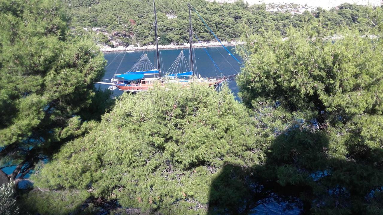 Apartment Josip II Ston Εξωτερικό φωτογραφία